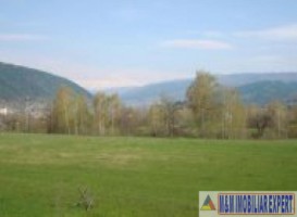 teren-extravilan-de-4076-mp-utilizat-ca-faneata-cu-deschidere-de-27-m-la-sosea-situat-in-valea-mare-pravat-arges-4