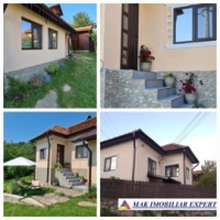 casa-vacanta-4-camere-teren-888-mp-cetateni-0