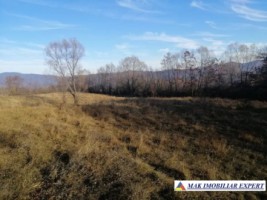 teren-extravilan-1-ha-nucsoara-arges-ideal-pentru-agricultura-si-proiecte-rurale-1