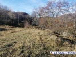 teren-extravilan-1-ha-nucsoara-arges-ideal-pentru-agricultura-si-proiecte-rurale-3