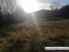 teren-extravilan-1-ha-nucsoara-arges-ideal-pentru-agricultura-si-proiecte-rurale-2