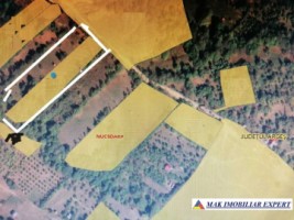 teren-extravilan-1-ha-nucsoara-arges-ideal-pentru-agricultura-si-proiecte-rurale-6