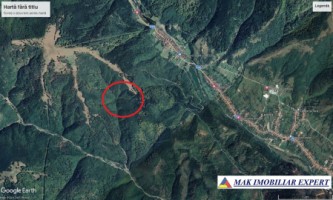 vand-urgent-padure-de-7-ha-in-bughea-de-sus-arges-1