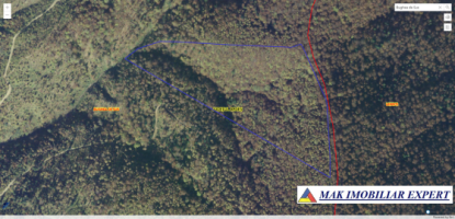 vand-urgent-padure-de-7-ha-in-bughea-de-sus-arges-2