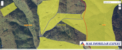 vand-urgent-padure-de-7-ha-in-bughea-de-sus-arges-3