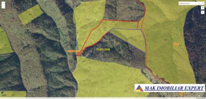 vand-urgent-padure-de-7-ha-in-bughea-de-sus-arges-4