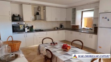 vila-4-camere-cu-teren-de-4000-mp-de-vanzare-stalpeni-arges-4