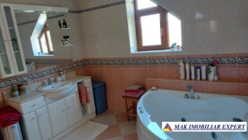 vila-4-camere-cu-teren-de-4000-mp-de-vanzare-stalpeni-arges-5