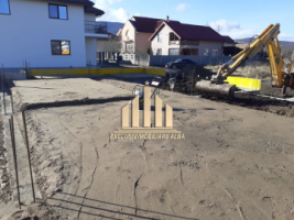 casa-de-vanzare-pe-un-nivel-alba-micesti-3