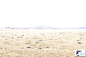 teren-extravilan-situat-in-harman-11