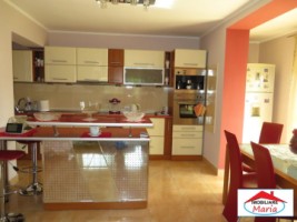 casa-in-viile-satu-mare-id-21725-5