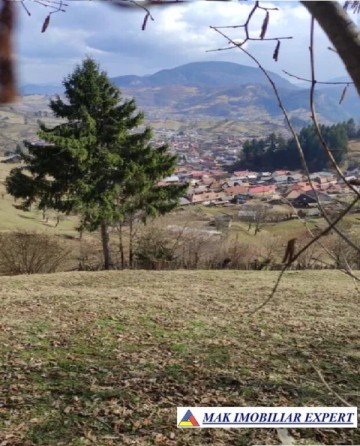 teren-4930-mp-extravilan-de-vanzare-in-rucar-arges-ideal-pentru-activitati-agricole-sau-recreationale