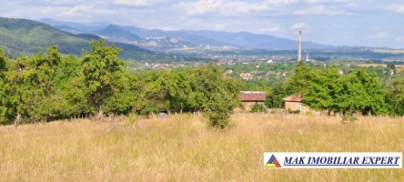 teren-244-ha-intraextravilan-de-vanzare-in-bughea-de-sus-arges-1