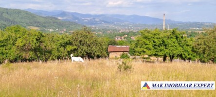 teren-244-ha-intraextravilan-de-vanzare-in-bughea-de-sus-arges