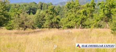 teren-244-ha-intraextravilan-de-vanzare-in-bughea-de-sus-arges-2
