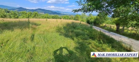 teren-244-ha-intraextravilan-de-vanzare-in-bughea-de-sus-arges-3