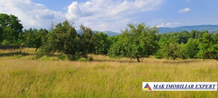 teren-244-ha-intraextravilan-de-vanzare-in-bughea-de-sus-arges-4