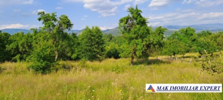 teren-244-ha-intraextravilan-de-vanzare-in-bughea-de-sus-arges-5