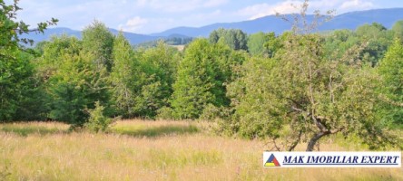 teren-244-ha-intraextravilan-de-vanzare-in-bughea-de-sus-arges-6