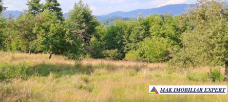 teren-244-ha-intraextravilan-de-vanzare-in-bughea-de-sus-arges-7