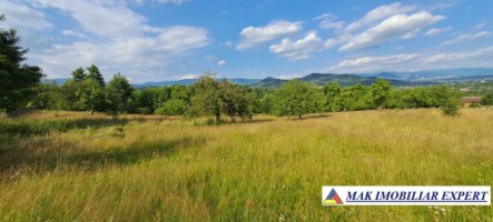 teren-244-ha-intraextravilan-de-vanzare-in-bughea-de-sus-arges-8