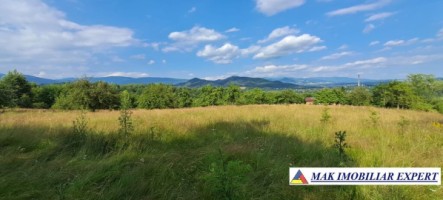 teren-244-ha-intraextravilan-de-vanzare-in-bughea-de-sus-arges-9