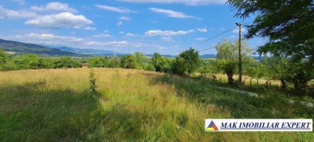 teren-244-ha-intraextravilan-de-vanzare-in-bughea-de-sus-arges-10