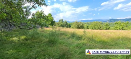 teren-244-ha-intraextravilan-de-vanzare-in-bughea-de-sus-arges-11
