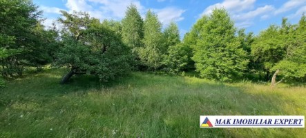teren-244-ha-intraextravilan-de-vanzare-in-bughea-de-sus-arges-12
