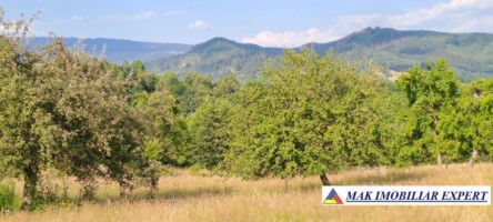 teren-244-ha-intraextravilan-de-vanzare-in-bughea-de-sus-arges-13
