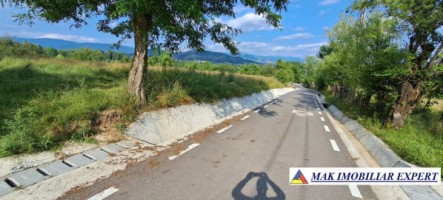 teren-244-ha-intraextravilan-de-vanzare-in-bughea-de-sus-arges-16
