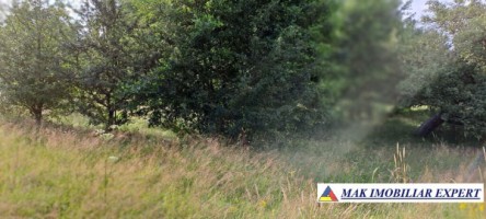 teren-244-ha-intraextravilan-de-vanzare-in-bughea-de-sus-arges-15