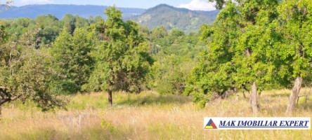 teren-244-ha-intraextravilan-de-vanzare-in-bughea-de-sus-arges-14
