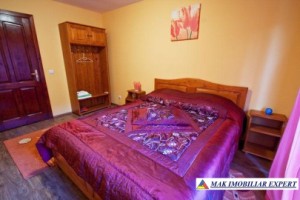 vila-pensiune-cu-23-de-camere-si-teren-de-2560-mp-leresti-voina-arges-19