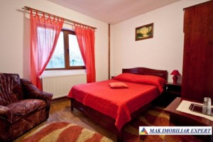 vila-pensiune-cu-23-de-camere-si-teren-de-2560-mp-leresti-voina-arges-20