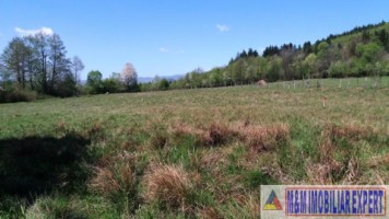 teren-3064-mp-lot-s4s3s2s1-bughea-de-sus-magura-campulung-muscel-arges-6