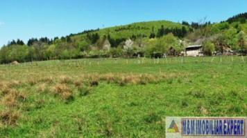 teren-3064-mp-lot-s4s3s2s1-bughea-de-sus-magura-campulung-muscel-arges-7