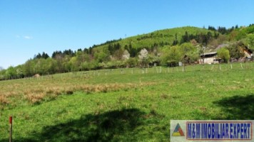 teren-3064-mp-lot-s4s3s2s1-bughea-de-sus-magura-campulung-muscel-arges-8