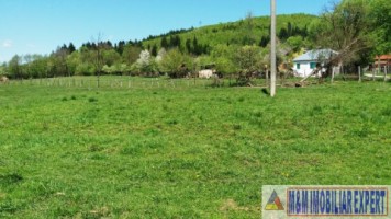 teren-3064-mp-lot-s4s3s2s1-bughea-de-sus-magura-campulung-muscel-arges-11
