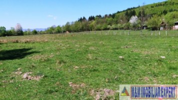 teren-3064-mp-lot-s4s3s2s1-bughea-de-sus-magura-campulung-muscel-arges-9