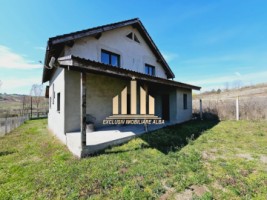 casa-individuala-de-vanzare-teleac-9