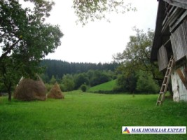 teren-11-ha-intraextravilan-de-vanzare-in-bughea-de-sus-arges-1
