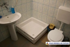 vila-cu-20-de-camere-si-teren-de-514-mp-leresti-arges-ideala-pentru-investitii-9