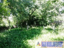 vila-6-camere-teren-1320-mp-de-vanzare-in-schei-campulung-muscel-arges-5