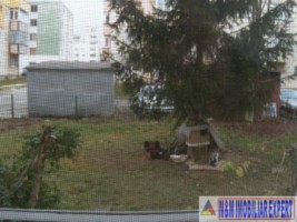 vizionare-dupa-1mai-2025-apartament-3-camere-confort-1-parter-grui-campulung-muscel-arges-20