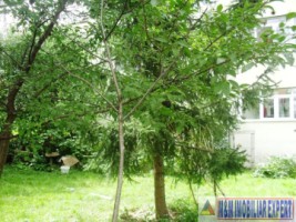 vizionare-dupa-1mai-2025-apartament-3-camere-confort-1-parter-grui-campulung-muscel-arges-22