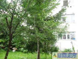 vizionare-dupa-1mai-2025-apartament-3-camere-confort-1-parter-grui-campulung-muscel-arges-23