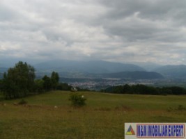 teren-intravilan-3800-mp-matau-mioarele-chilii-arges-ideal-pentru-proiecte-agricole-8