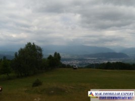 teren-intravilan-3800-mp-matau-mioarele-chilii-arges-ideal-pentru-proiecte-agricole-7