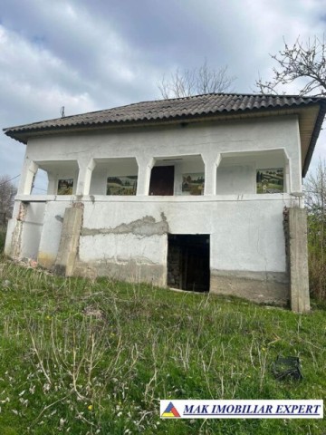 casa-musceleana-3-camere-teren-1001-mp-de-vanzare-in-berevoesti-arges-traditionala-si-plina-de-farmec-1